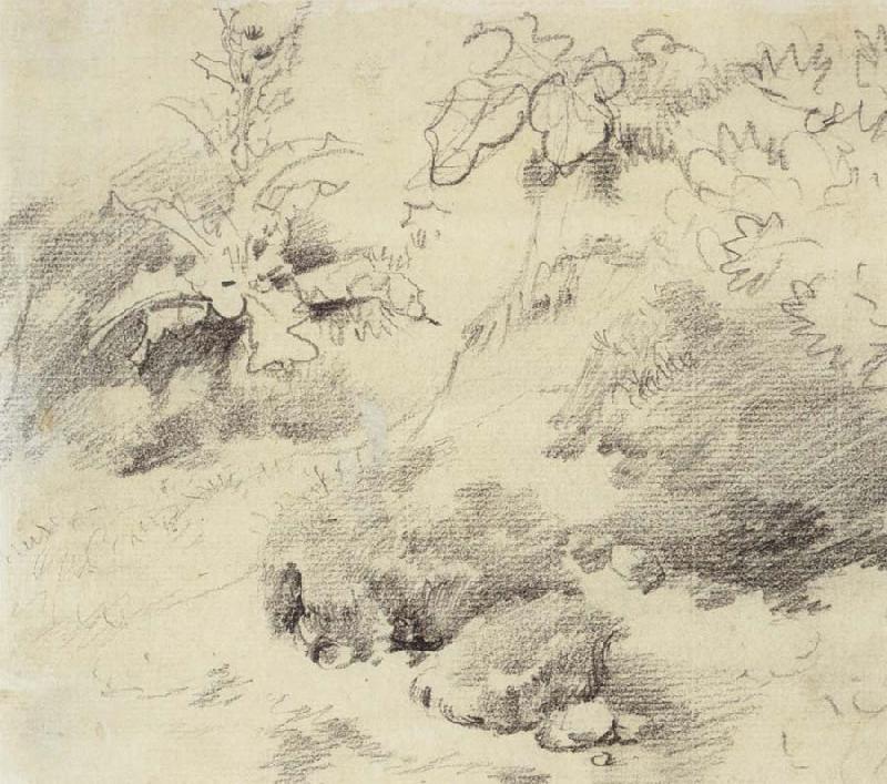 Thomas Gainsborough Study for a Foreground,a Bank with Weeds and Thistles
